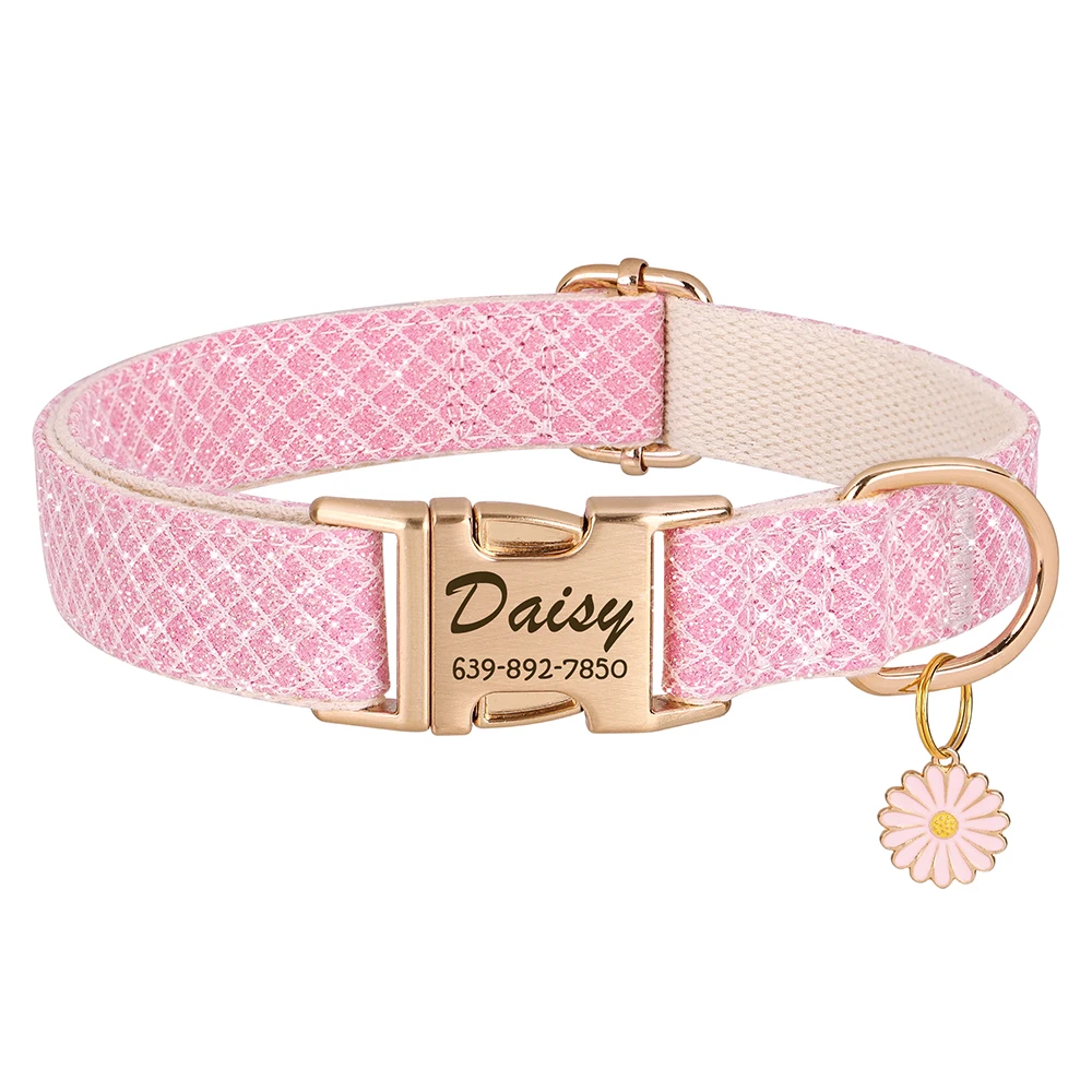Thumbnail 2 - #60 Best Puppy Collars to Buy In 2026