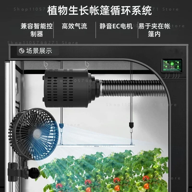 European and British tent hydroponics household 220V voltage 6-inch double-gear speed regulation clip