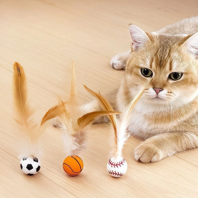 

Cat Toys Feather Wand Interactive Chicken Feather Rubber Elastic Ball Throw Toy Bite Resistant Self Entertaining Boredom Relief