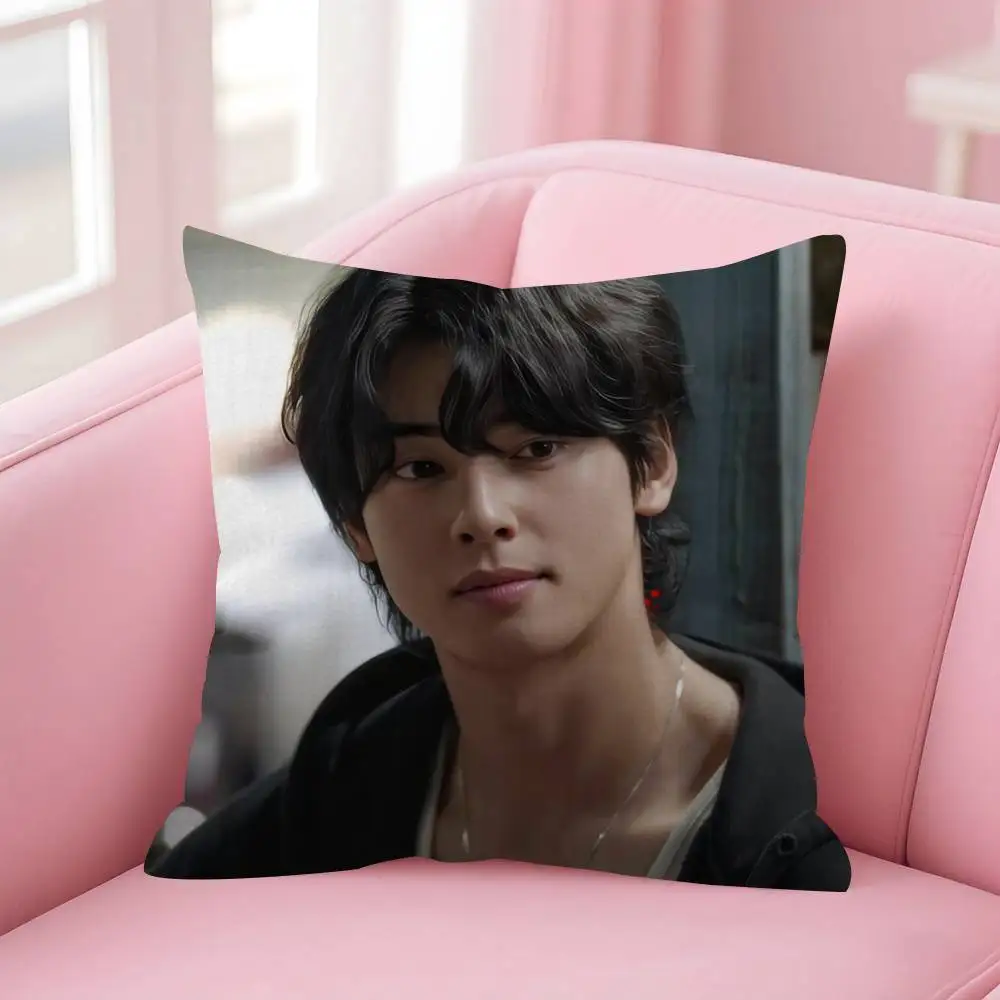 Singer Cha ido EunWoo Doppelseitig bedruckter Kissenbezug aus kurzem Plüsch. Geeignet für Wohnzimmer, Schlafzimmer, Sofas, Dekokissenbezüge – Detail 11