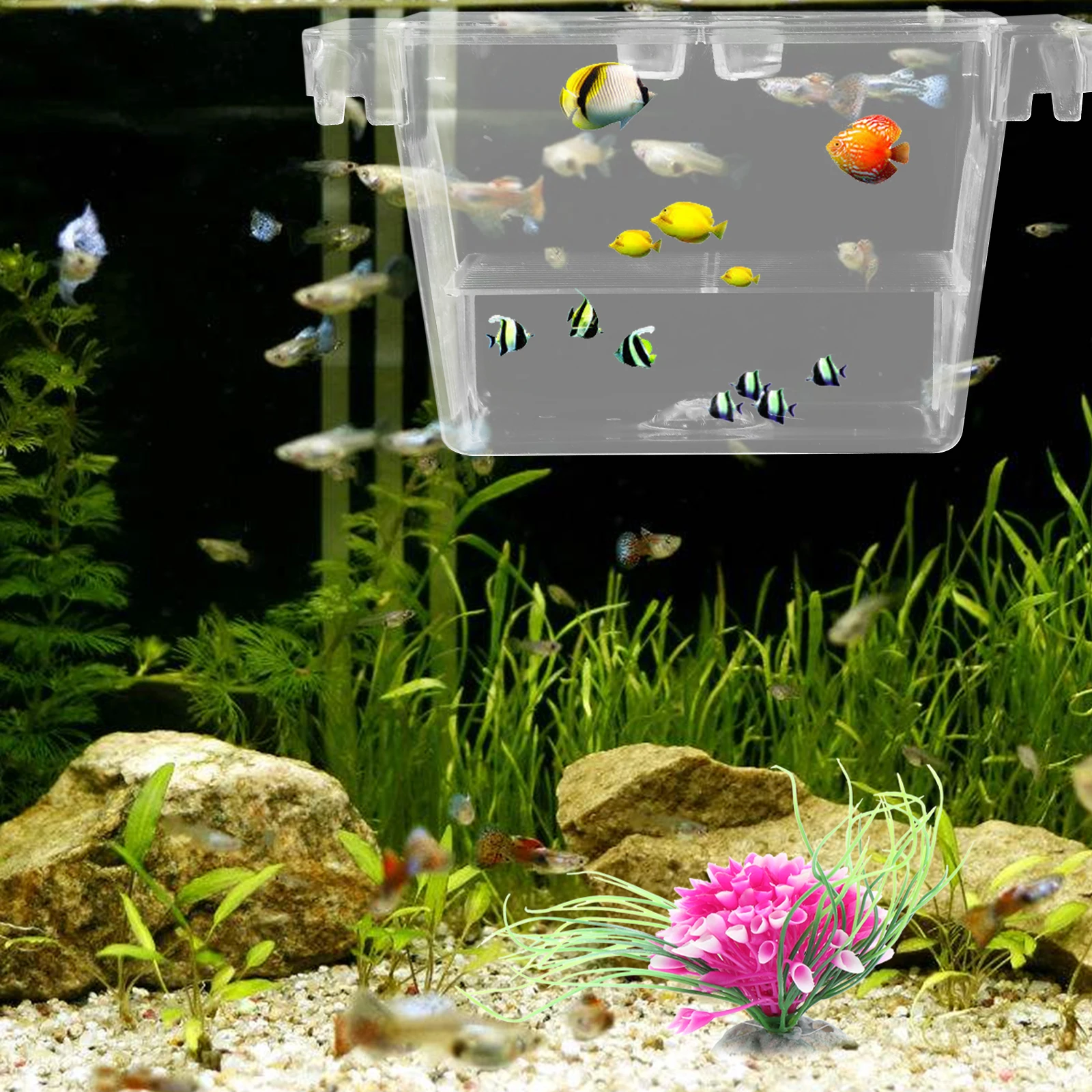 

Incubation Box Aquarium Fry Isolation Breeding Separator Clear Acrylic Tank Protection Newborn Fish Shrimp Breeding Pet Supplies