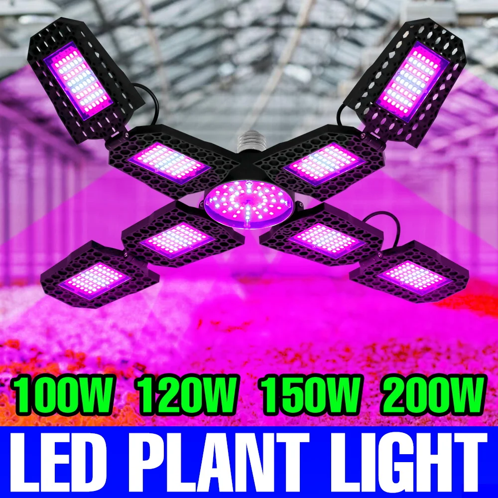 200 واط E27 LED النبات تنمو ضوء الطيف الكامل Phytolamp للداخلية الفاكهة الزراعة المائية الدفيئة خيمة الصبار زراعة الخضروات