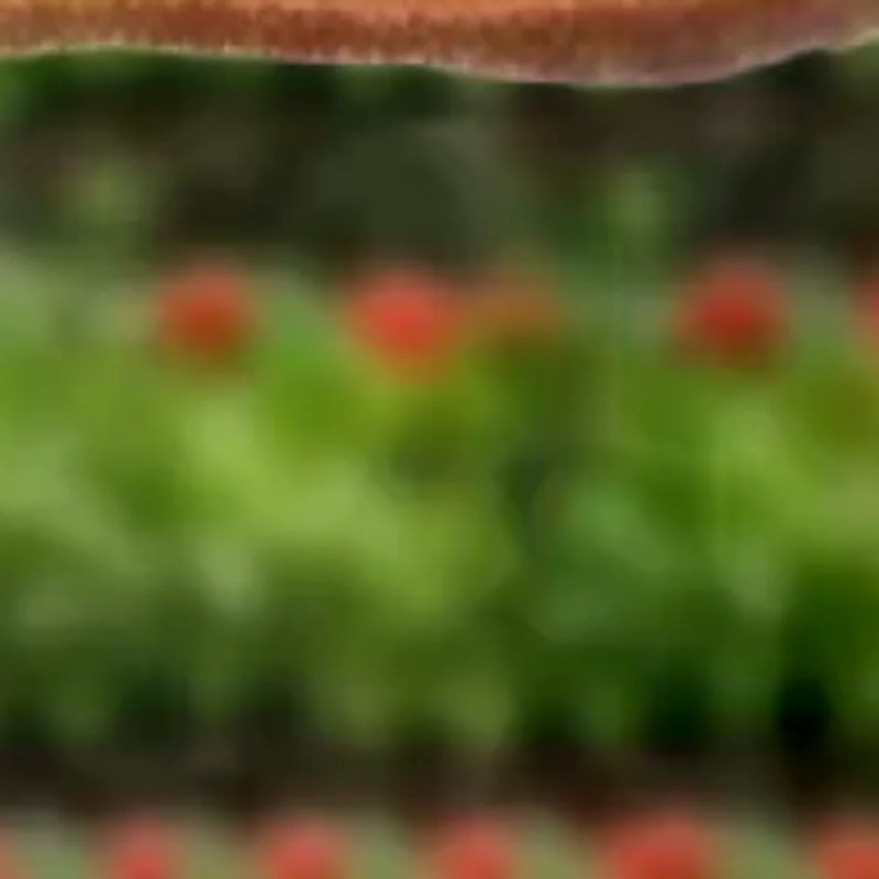 Penutup Saluran Air Stainless Steel untuk Atap, Lantai, Pipa Pembuangan, Saringan Anti-Sumbat, Pelindung Talang, Penangkap Serpihan Daun, Tutup Pipa Hujan