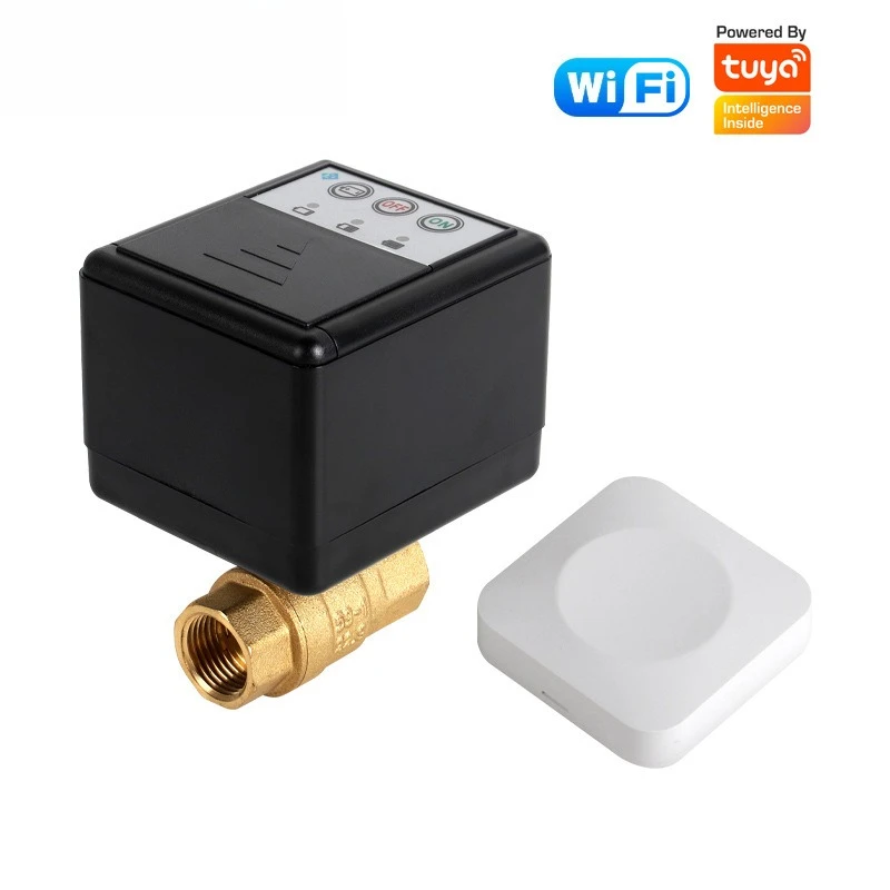 Tuya WiFi 433MHz Water Leak Sensor with Brass Auto Shut Off Valve Battery Not Included Flood Detector Smart Kit