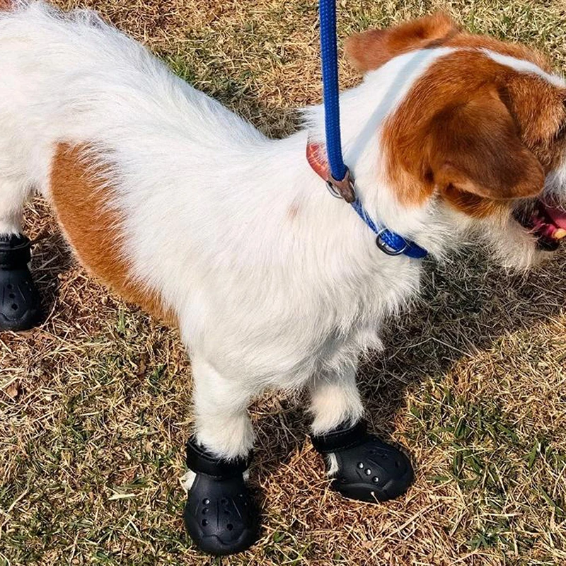 Stylish Lightweight Dog Shoes: 4-Piece Summer Sandals for Dogs, Perfect for Outdoors, Water-Resistant & Anti-Skid