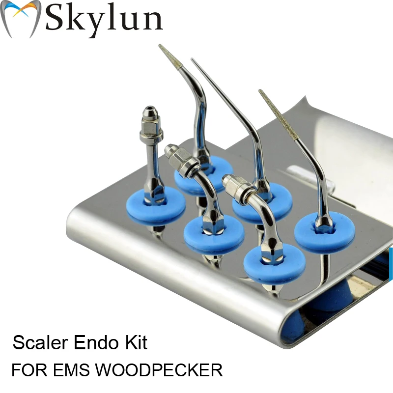 Dental Ultrasonic scaler Tip Kit Scaler Endo Kit Silver scaler tips E0 E1 E2 E3 P4D E3D Fit EMS WOODPECKER AT13