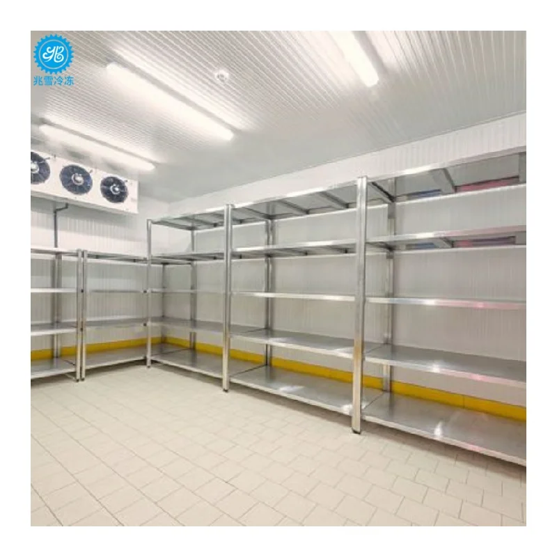 Walk in Freezer Solar Cold Room Container for Meat Fruits Veg Fish Keeping Off Grid Refrigeration System Custom Dimensions