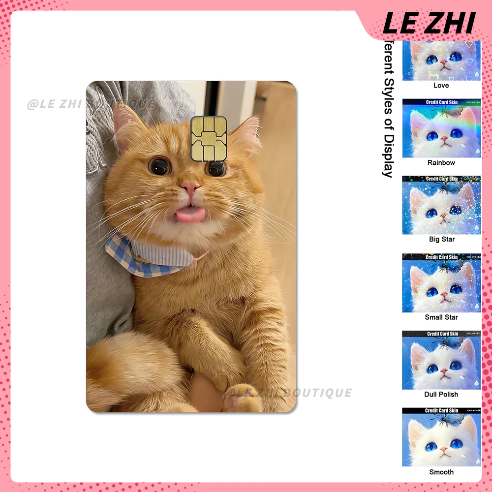 Рисунок 4 - милая кошка, собака