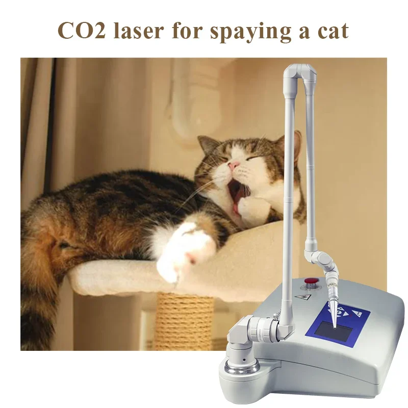 Veterinary CO2 Laser Machine for Clinics