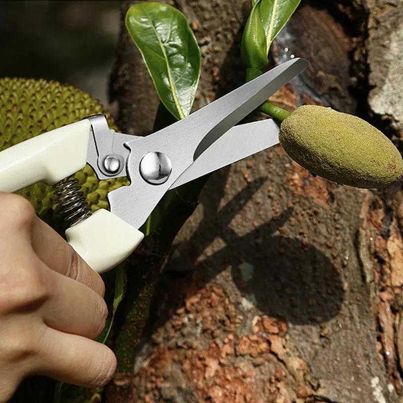 Edelstahl Schere Blume Cut Anordnung Beschneiden Obst Baum Garten Zweig Schneiden Haushalt Pfropfen Gartenarbeit Schere – Detail 5