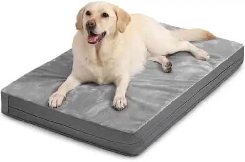 

XXL Waterproof Dog Bed 48" Orthopedic Foam, Washable Anti-Slip Crate Pad for Large Dogs, Gray