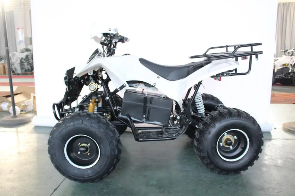 New Removable Battery adult 60V 1500W Electric quad bike ATV