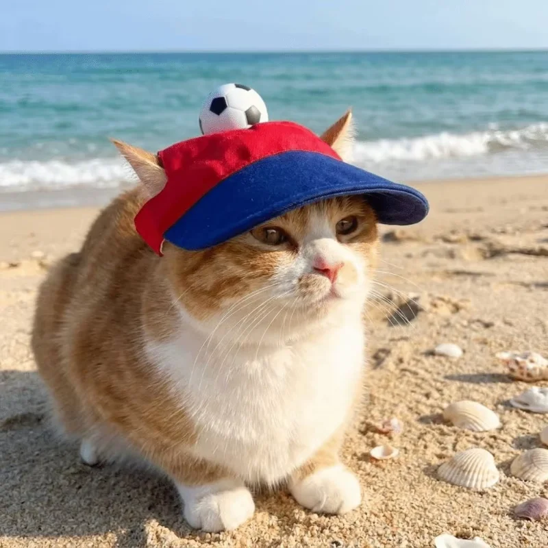 

Football Shape Dog Baseball Hat Sport Cap Breathable Pet Sun Hat Sun Protection Adjustable Cat Sunshade Cap For Small Dogs Cats