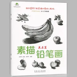 Sketch Pencil Drawing Hand Drawn Sketching From Beginner To Proficient Students Self-study Pencil Drawing Textbooks And Books