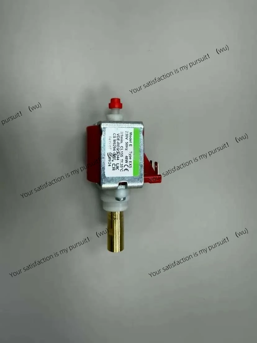 Electric heating steam boiler iron fittings 220V micro pump, solenoid pump