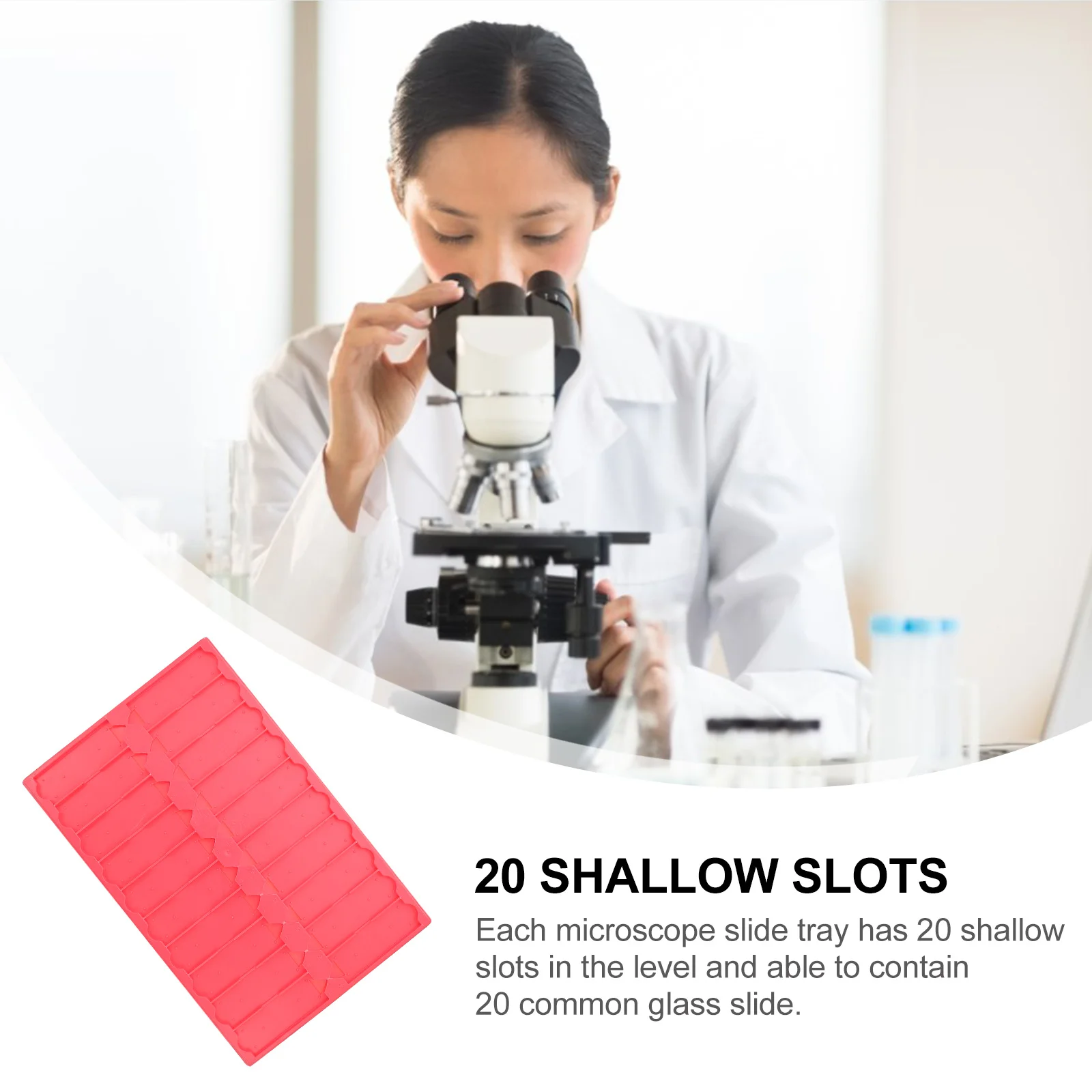 Microscope Slide Storage Tray Plastic Holder 20 Capacity With Numbered Positions Random Color For Teaching Equipment
