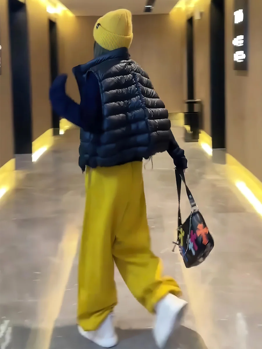 Kamizelka puchowa damska Bla Du, lekka, z wysokim kołnierzem, odzież wierzchnia na jesień i zimę, modna, uniwersalna, ciepła kurtka.