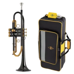 Increase the Trumpet instrument B tune playing trumpet