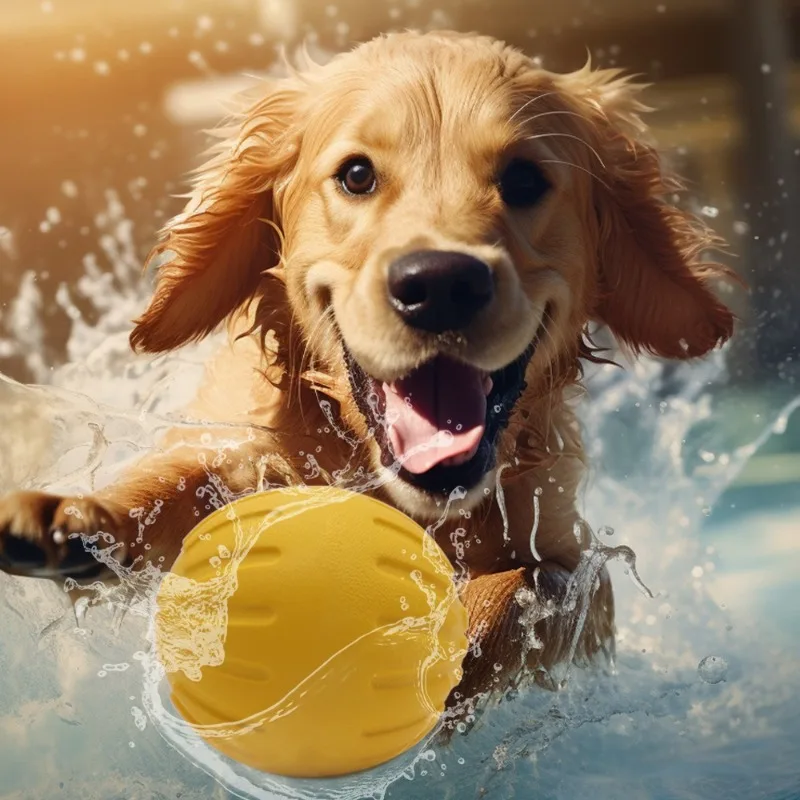 EVA-Seilball, Hundespielzeug-Set mit schwimmendem Fetch-Ball, langlebig, kaubeständig, Zahnreinigung, Welpe, Erwachsene, Hunde, interaktive Trainingsunterstützung