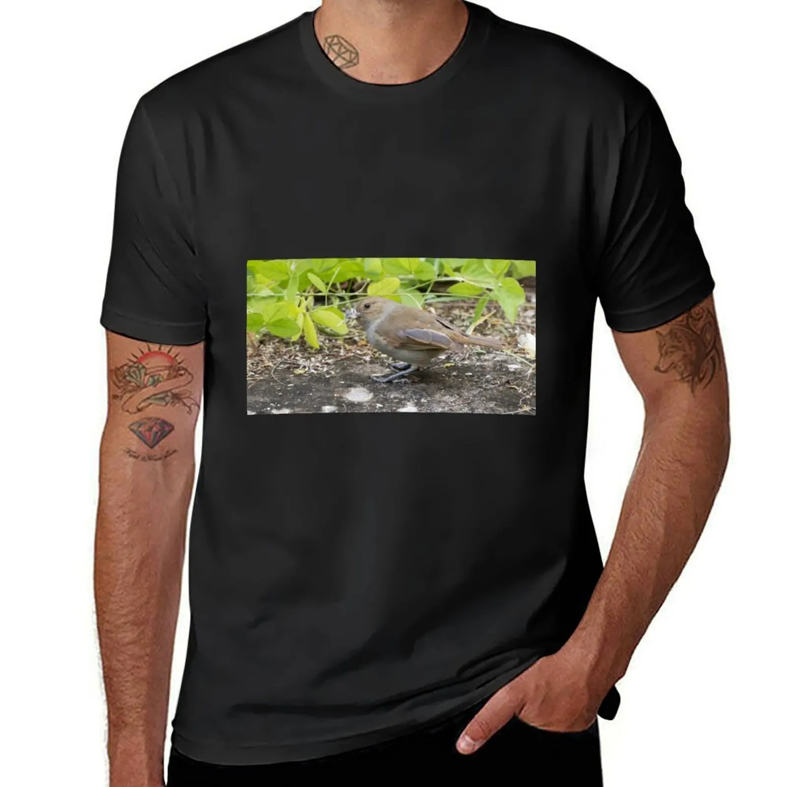 Barbados Bullfinch T-Shirt oversizeds Aesthetic clothing mens graphic t-shirts pack