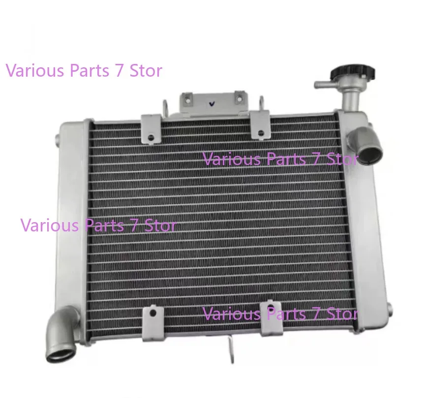 Motorcycle Engine Parts Water Cooler Radiator For Benelli 502C BJ500-6A BJ502C BJ 500-6A