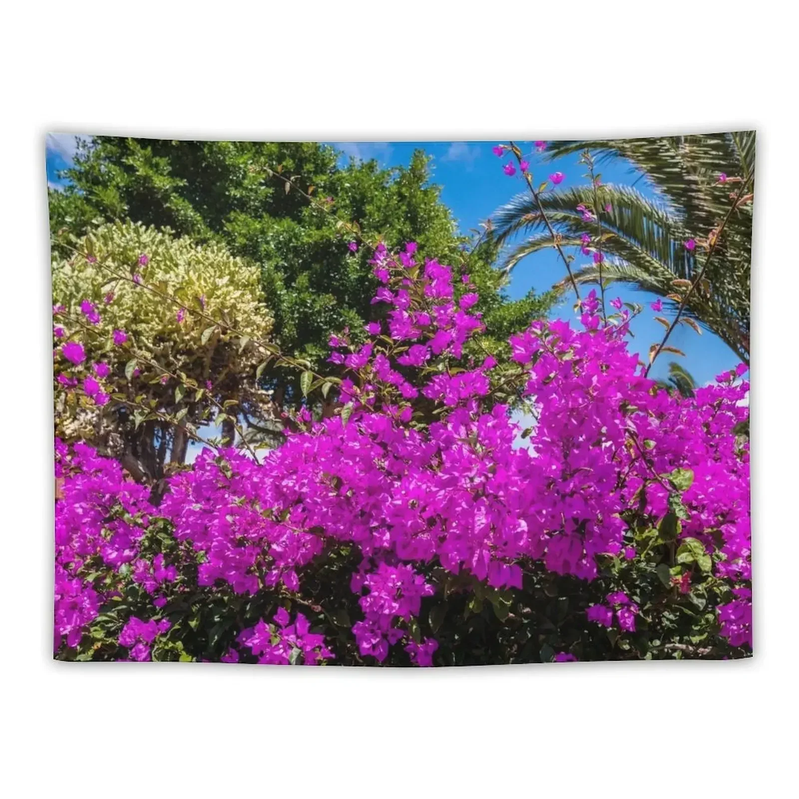 

Bougainvillea Bush Tapestry Wall Hanging Funny Tapestry