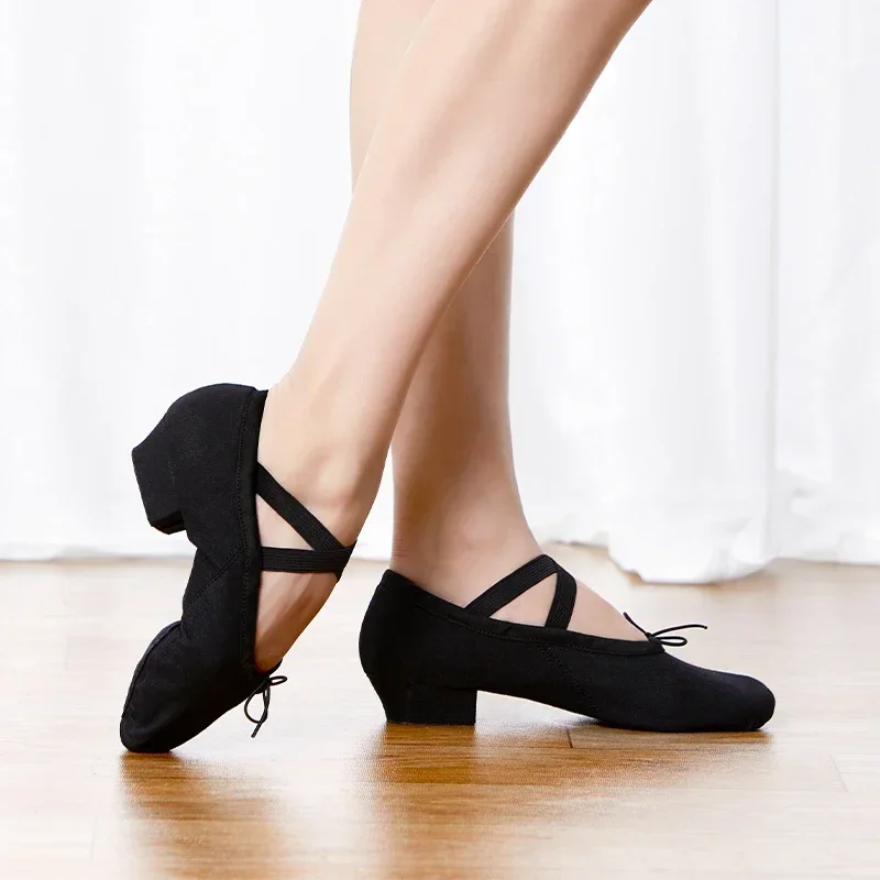أحذية رقص باليه احترافية للنساء والفتيات بكعب منخفض أحذية رقص قماشية للمعلم لفصل الرقص