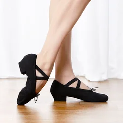 Professional Ballet Dance Shoes for Women Girls Low Heel Dance Shoes Canvas Teacher Shoes For Dancing Class