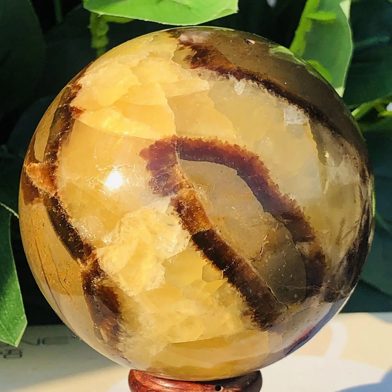 

Natural Turtle Back Stone Quartz Dragon Crystal Ball Gem Mineral Specimen Healing Reiki