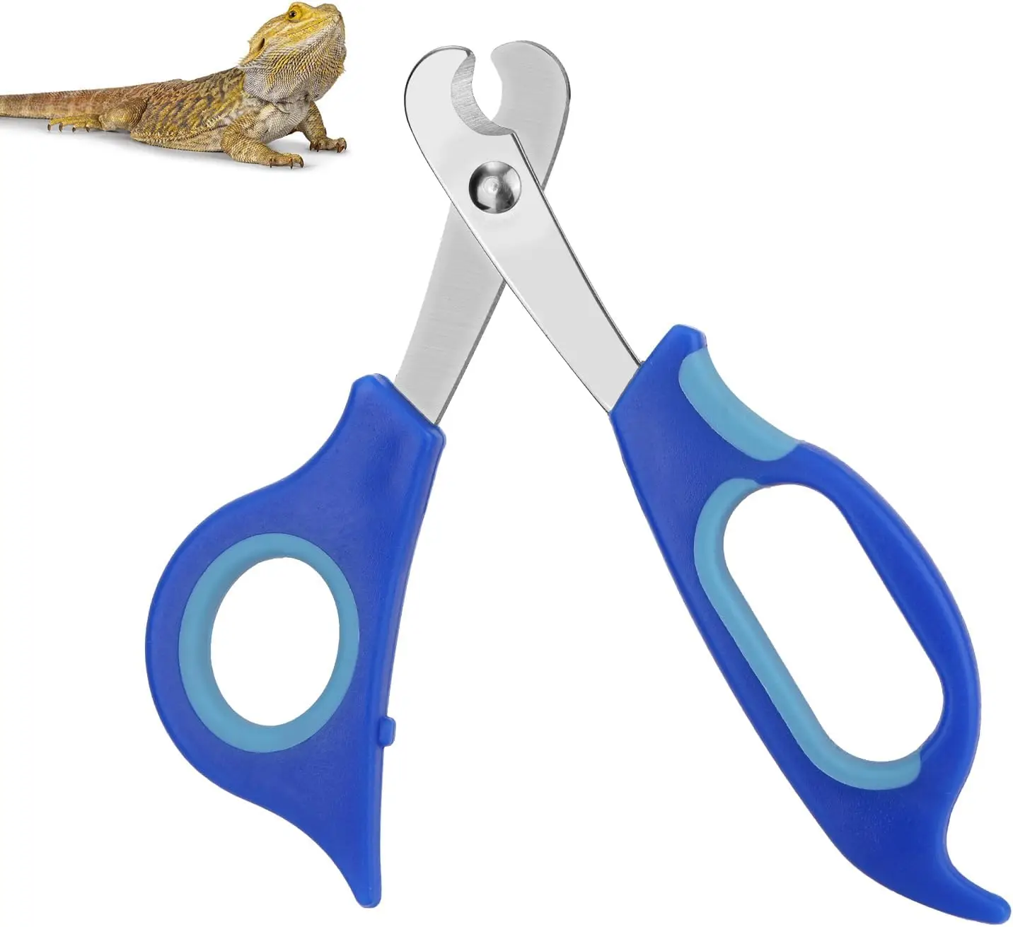 BOXOB Bearded Dragon Nail Clippers, Stainless Steel Pet Animal Lizard Cat Dog Toe Nail Scissors Trimmer Professional Reptile Grooming Tool with Precise Angled Edge for Small Reptiles Turtle Chameleon