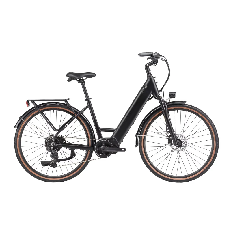 

China Drive Electric City Electric Bicycle Lithium Battery Motor