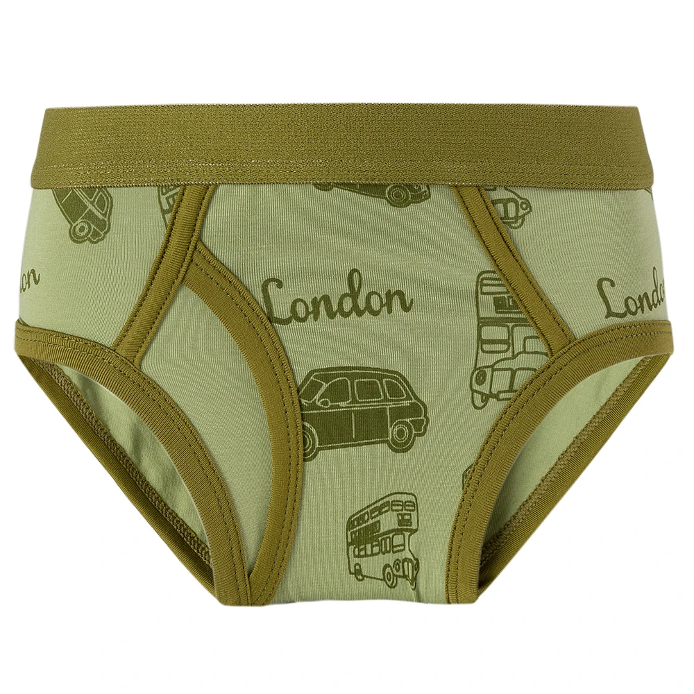 2Pcs Boys Comfort Cartoon Animal Pattern Triangle Panty