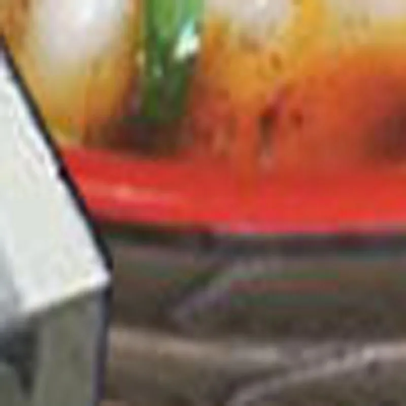 Electric Stainless …