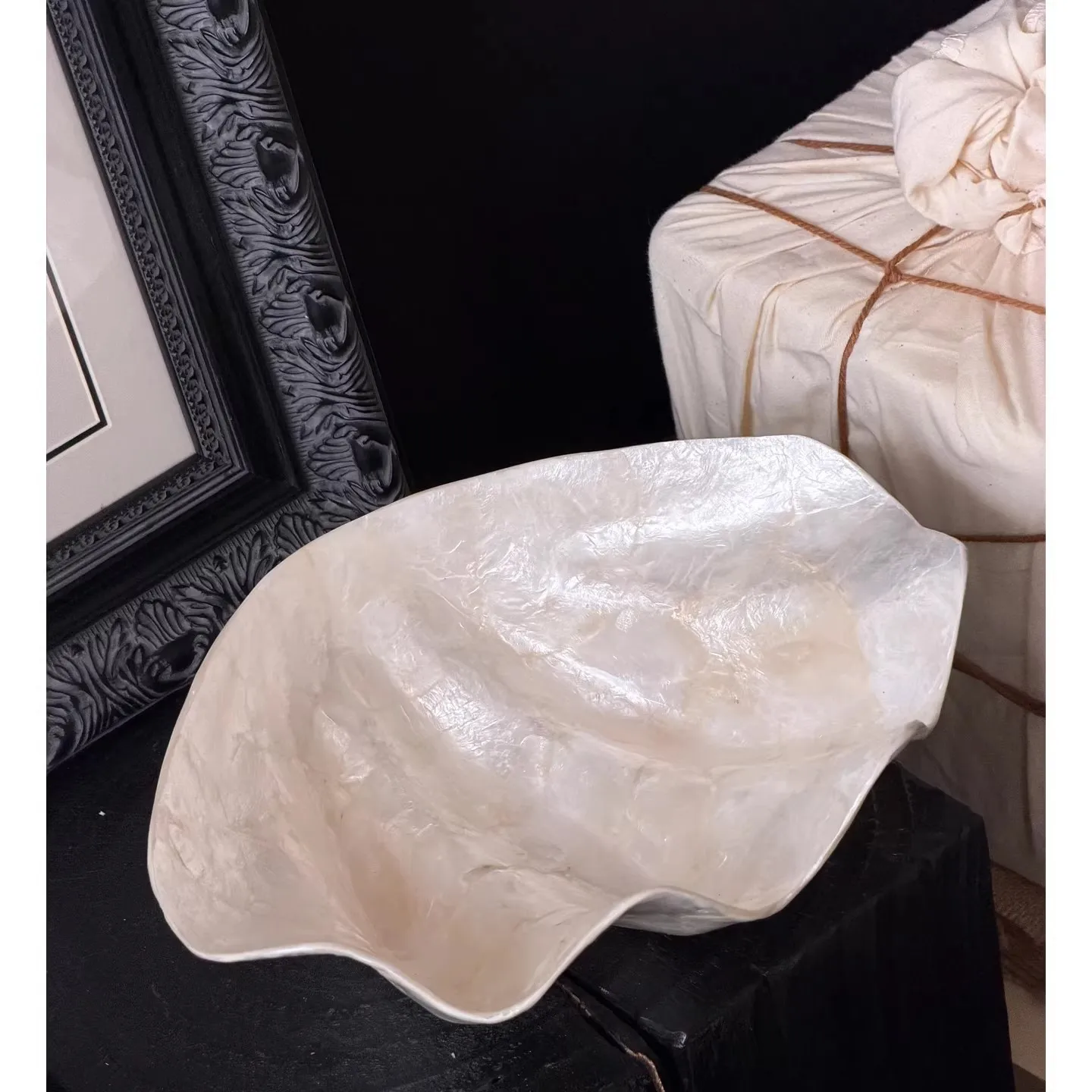 Creative Irregular Ocean Shell Storage Tray Desktop Jewelry Ring Shell Tray Room Coffee Table Miscellaneous Storage Tray Only