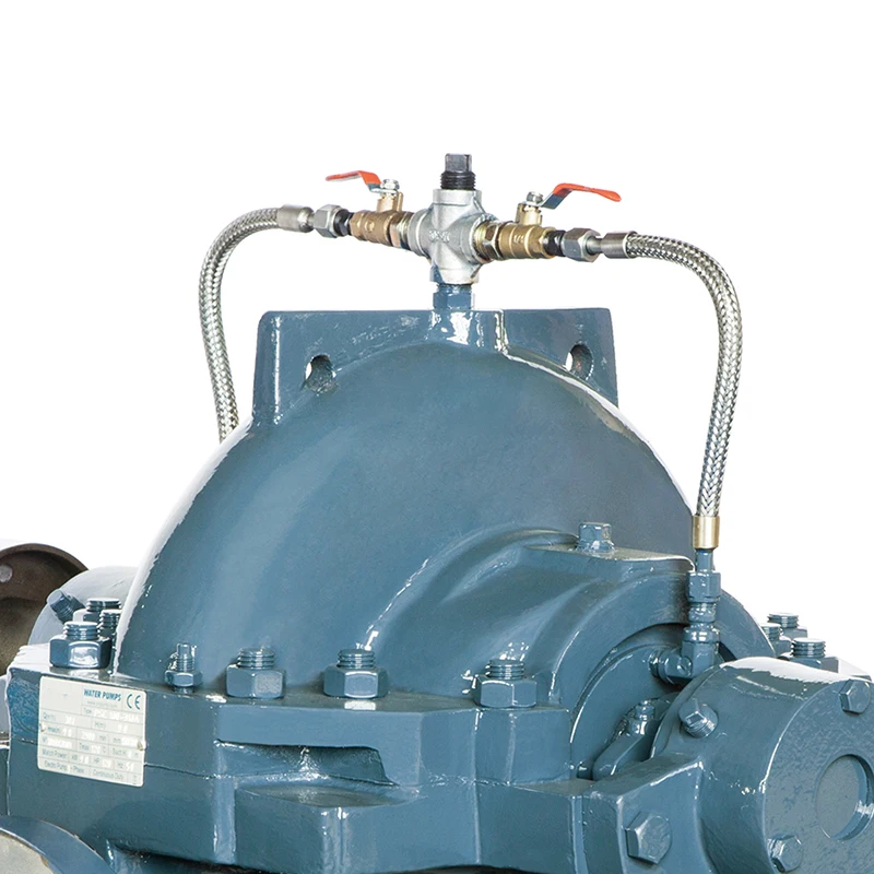 OEM Supported 75hp Horizontal Split Case Double Suction Centrifugal Pump