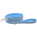 Leash-Light Blue