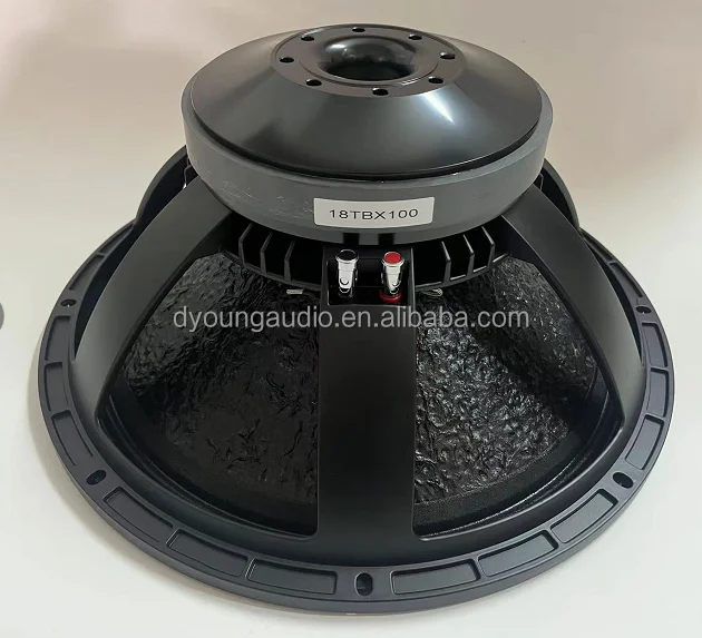 

18 Inch 220 Mm Magnet 100 Coil 1000w Pro Sound Sub-woofer Loudspeaker 18TBX100