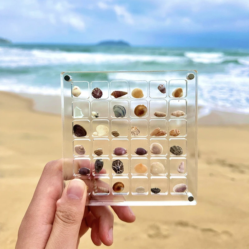 Acrylic Magnetic Seashell Display Box Rhinestone Jewelry Storage Box Trinket Transparent Magnetic Closure Display Case Organizer