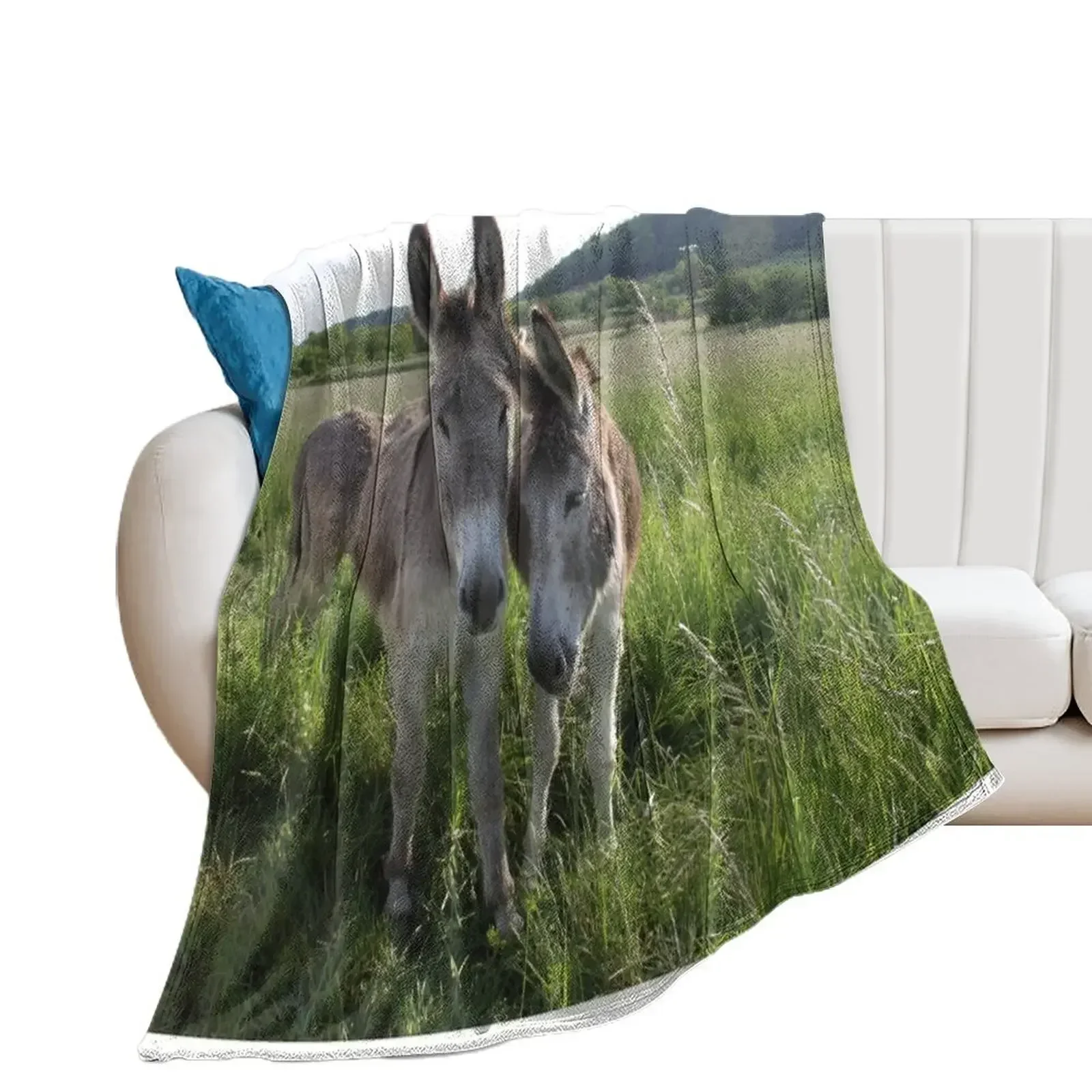 Adorable grey donkeys in the high grass meadow Throw Blanket for winter Sleeping Bag Kid'S wednesday Blankets