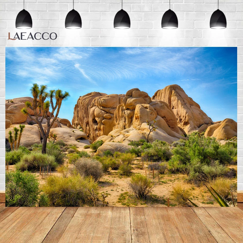 Laeacco Nature Backgrounds Cactus Desert Sunset Shrub Stone Aurora Scenic Photographic Backdrops Photocall Photo Studio