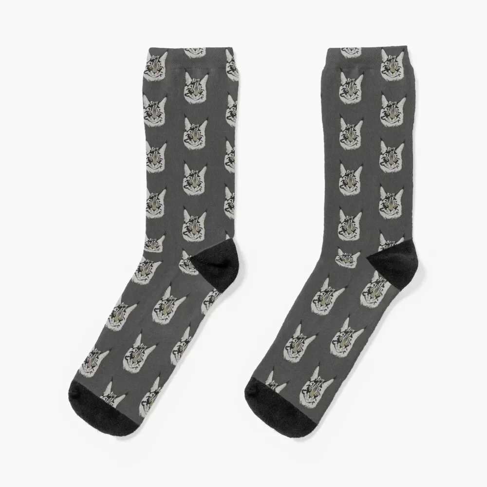 

Denzel the Maine Coon Cat Socks anime christmass gift tennis Climbing Men's Socks Women's