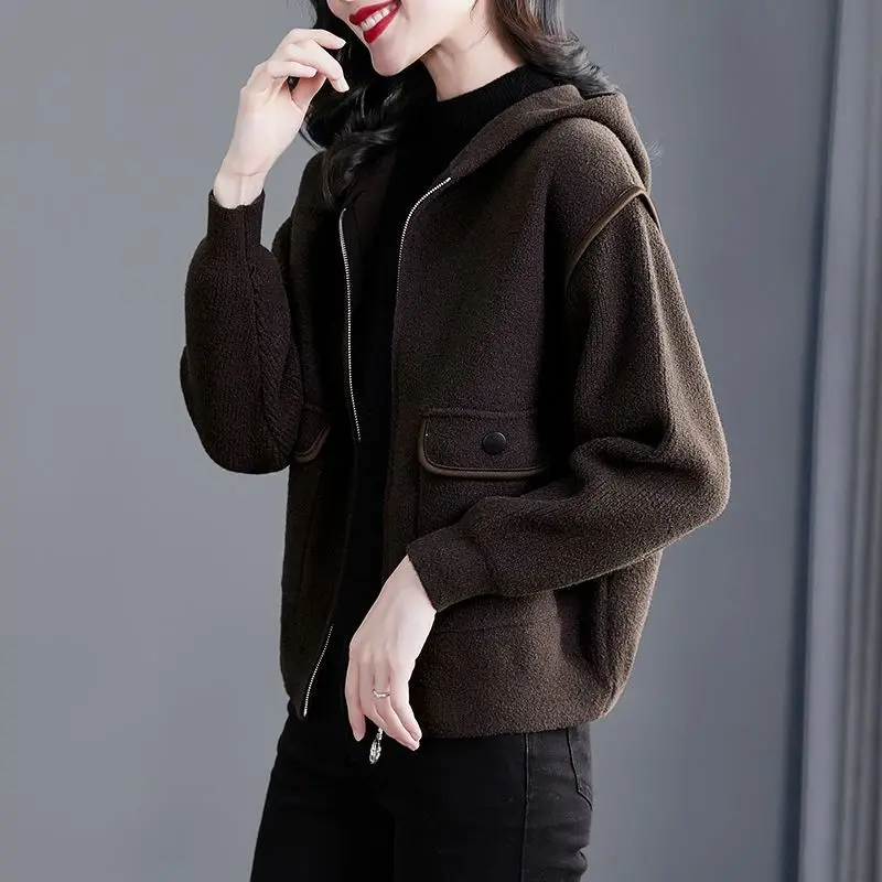 2023 Autumn Winter Advanced Sense Double-sided Cashmere Woolen Coat Women Casual Zipper Mother Outwear Hooded Short Wool Jacket