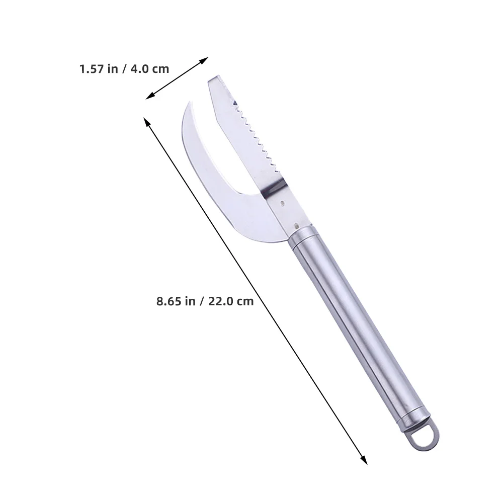 Fish Scale Remover in Use