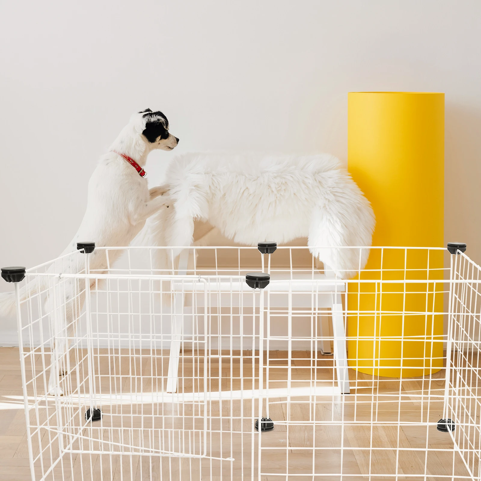 Custodie per recinzione per animali domestici 12 fibbie di fissaggio Gabbia in filo di ferro cavo durevole Box per cani e gatti fai da te Forniture per la casa multifunzionali