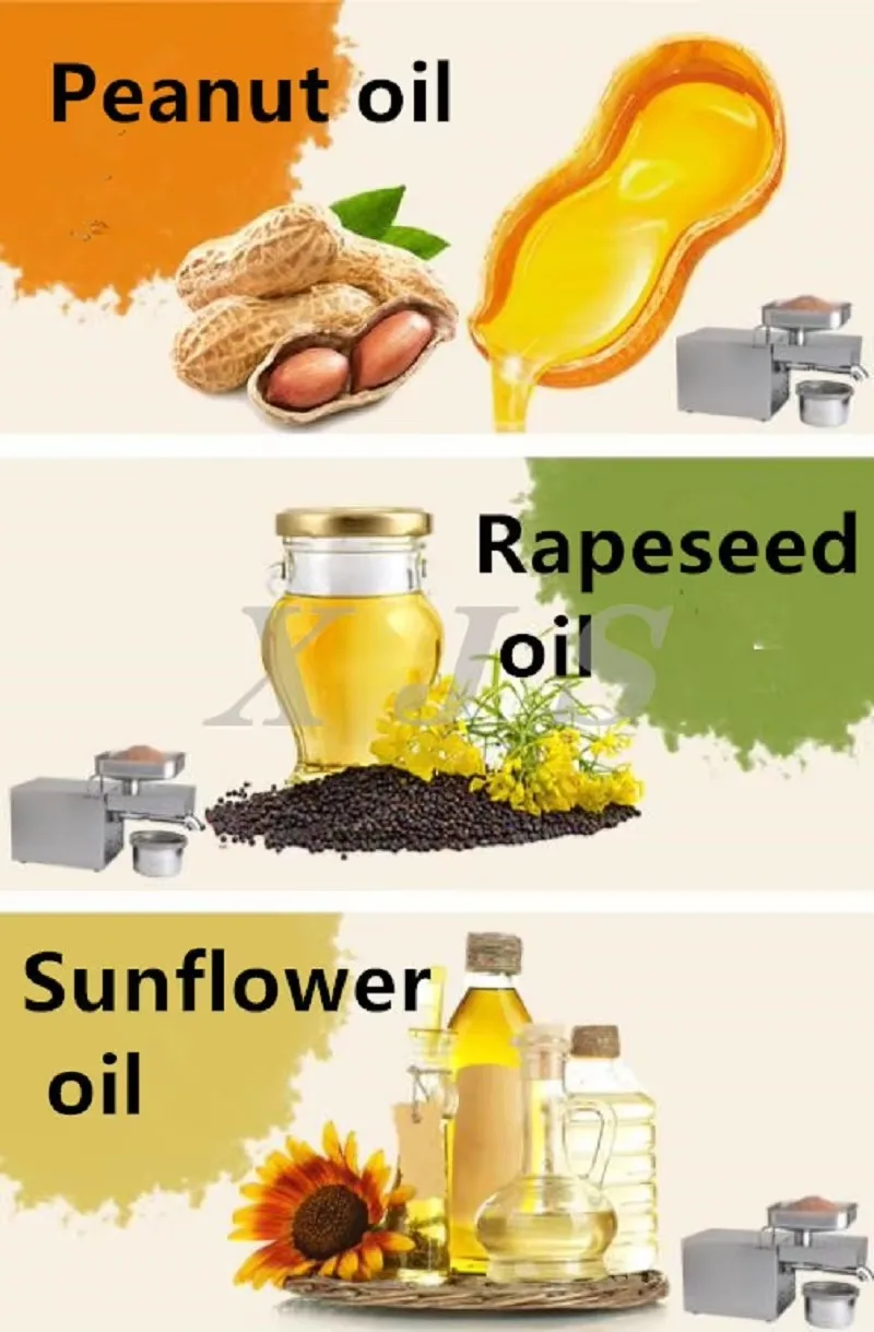 Automatic Sunflower Seed Fully Automatic Cold or Hot Mini Oil Press Machine/Coconut L/Palm /Olive /Soybean Extraction Machine