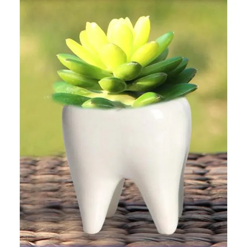 Resin tooth Dental Clinic craft for souvenir and gifts decoration