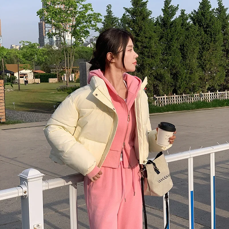 Abbigliamento invernale da donna Giacche corte Parka Colletto alla coreana caldo Cappotto freddo Piumino con cerniera Giacca imbottita in cotone moda coreana