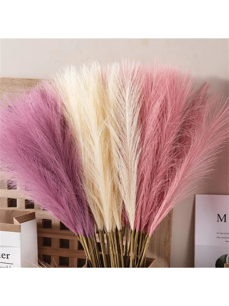 Pack de 10 bâtons de roseau de pampa Él, simulation de roseau, enge