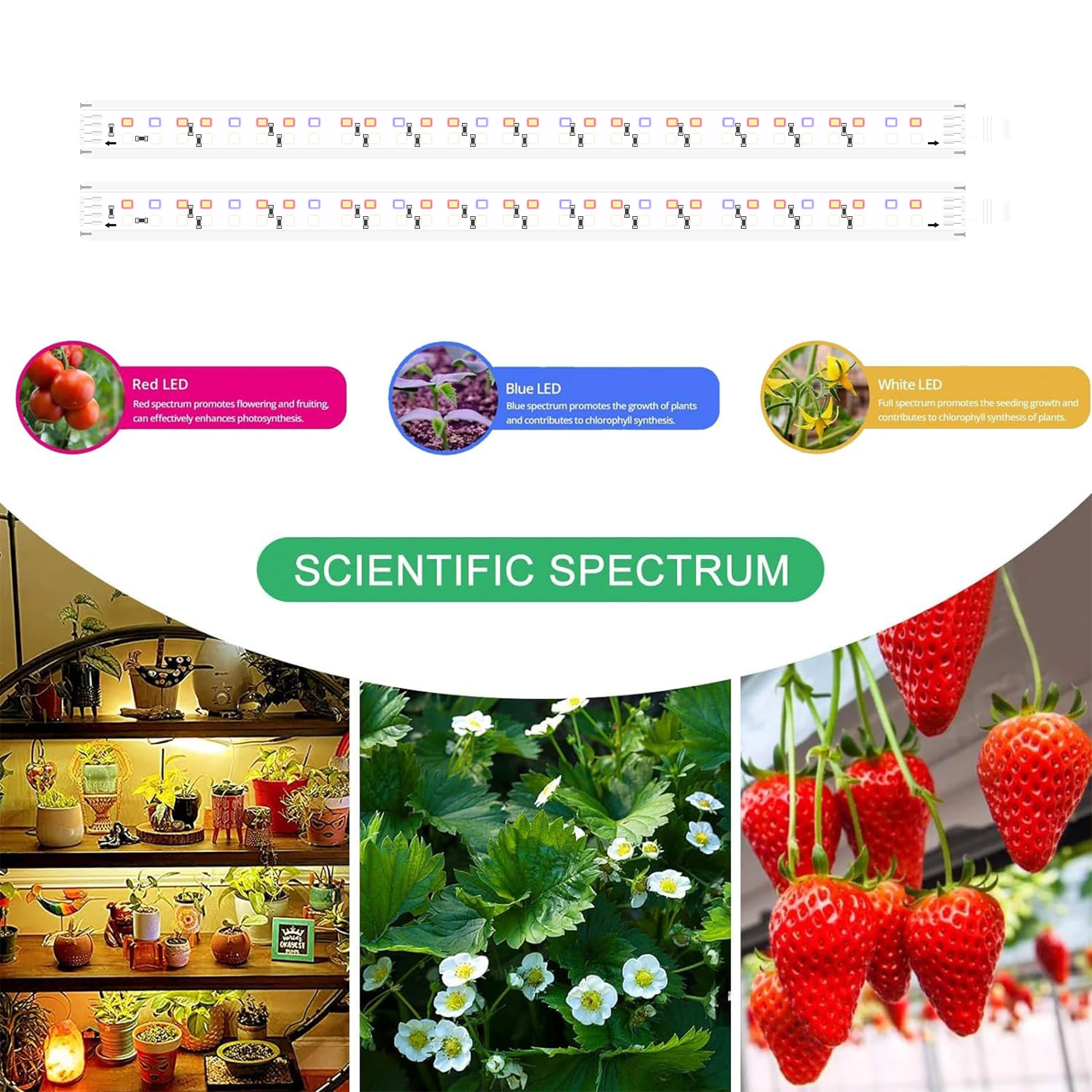 12VTUYA remote control three color adjustable full spectrum LED indoor plant growth lamp can be timed DIY lighting seed start