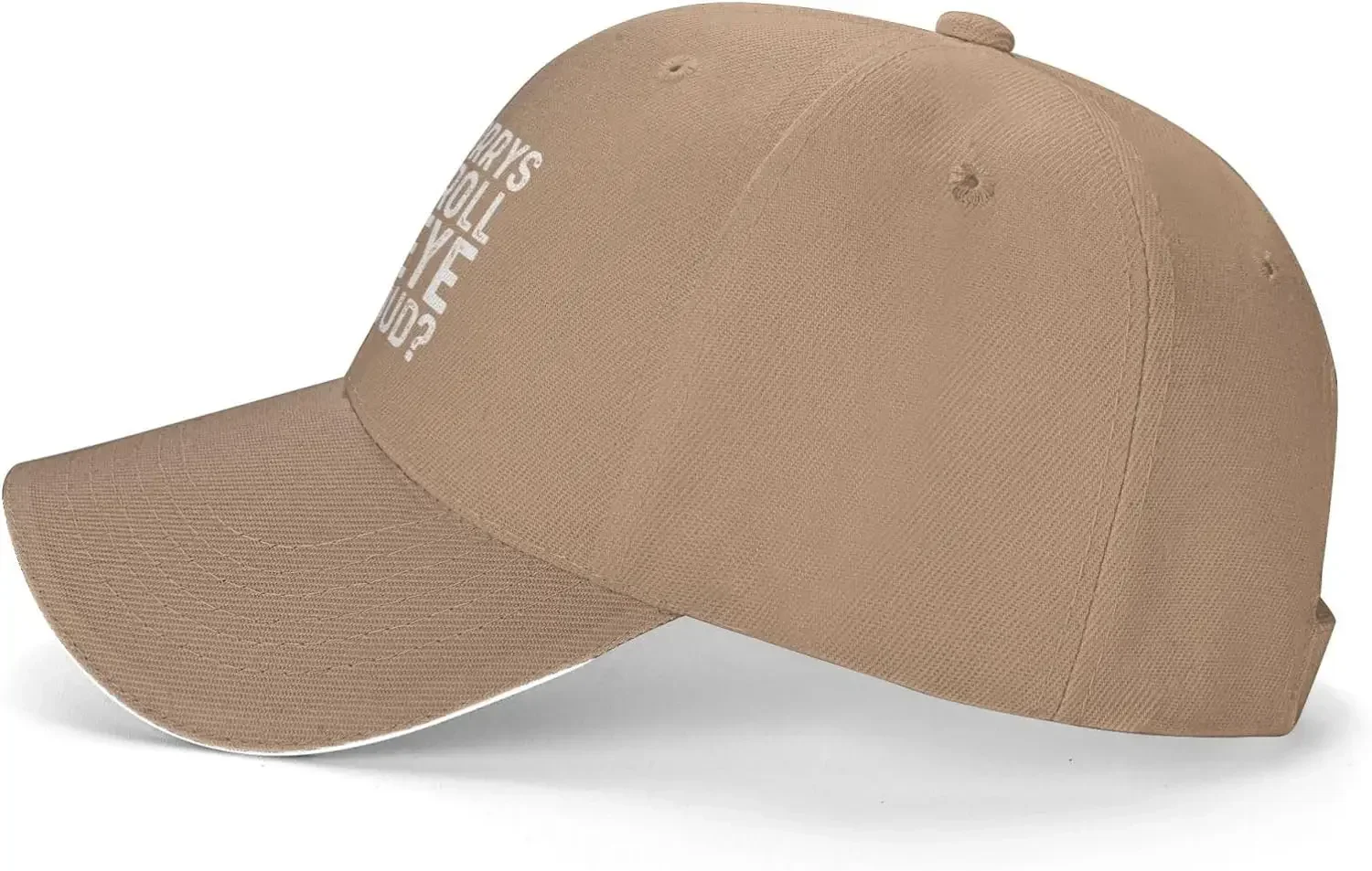 I’m Sorrys Did I Roll My Eye Out Loud Hat Women Dad Hat Vintage Caps